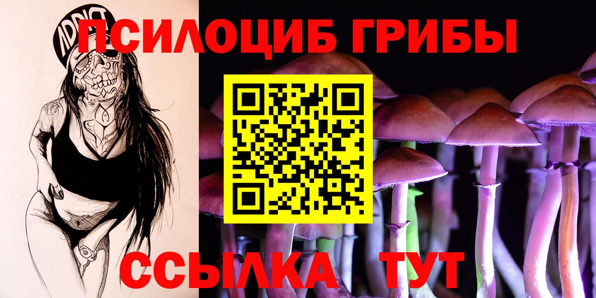 Галлюциногенные грибы прущие грибы Санкт-Петербург