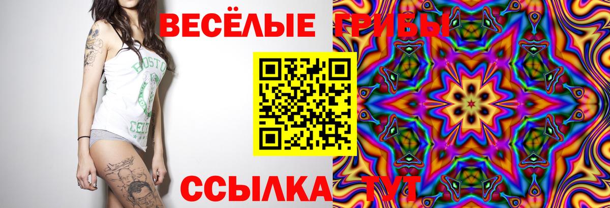 Санкт-Петербург  Псилоцибиновые грибы мухоморы  Вход с VPN 