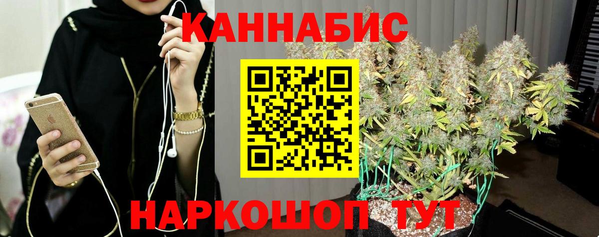 Канабис планчик  Вход с VPN  Шишки марихуана Amnesia  Марихуана Bruce Banner  Санкт-Петербург 